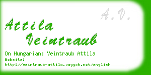 attila veintraub business card